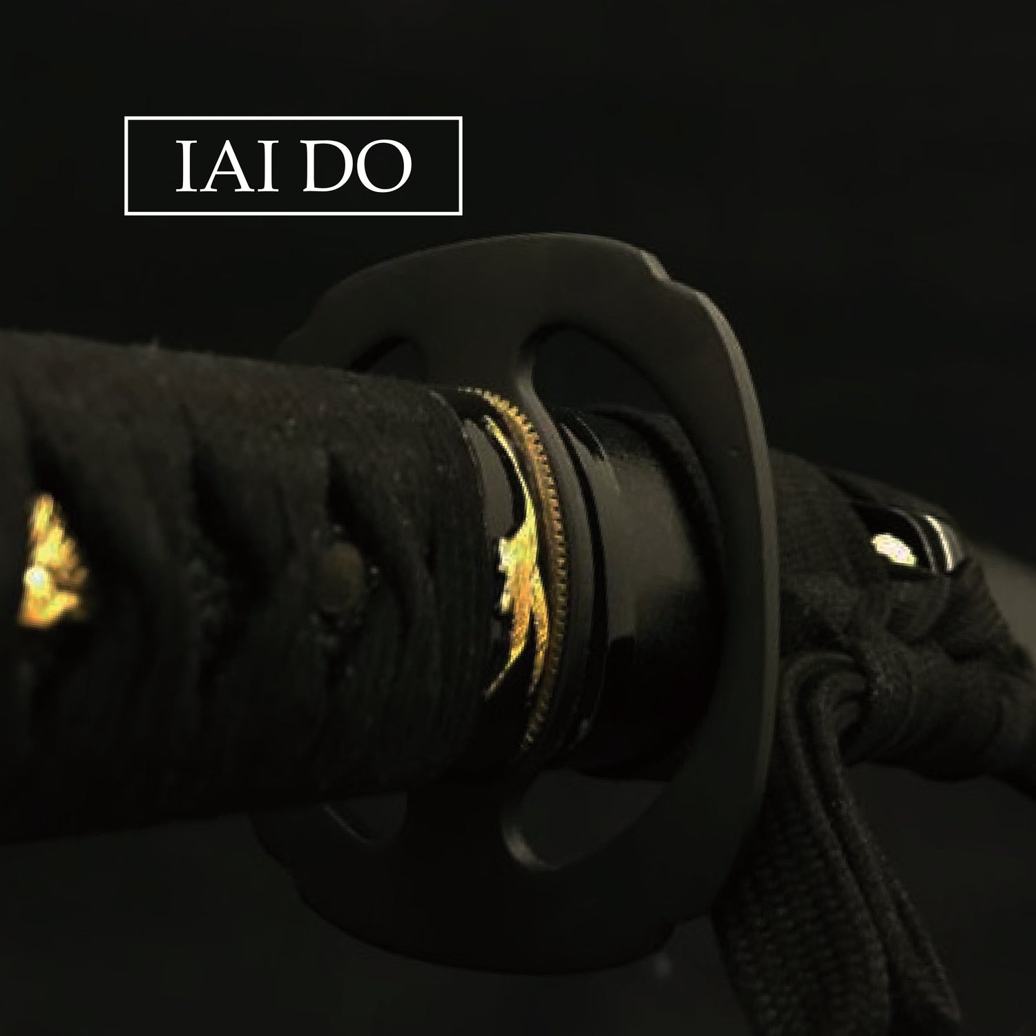 IAIDO