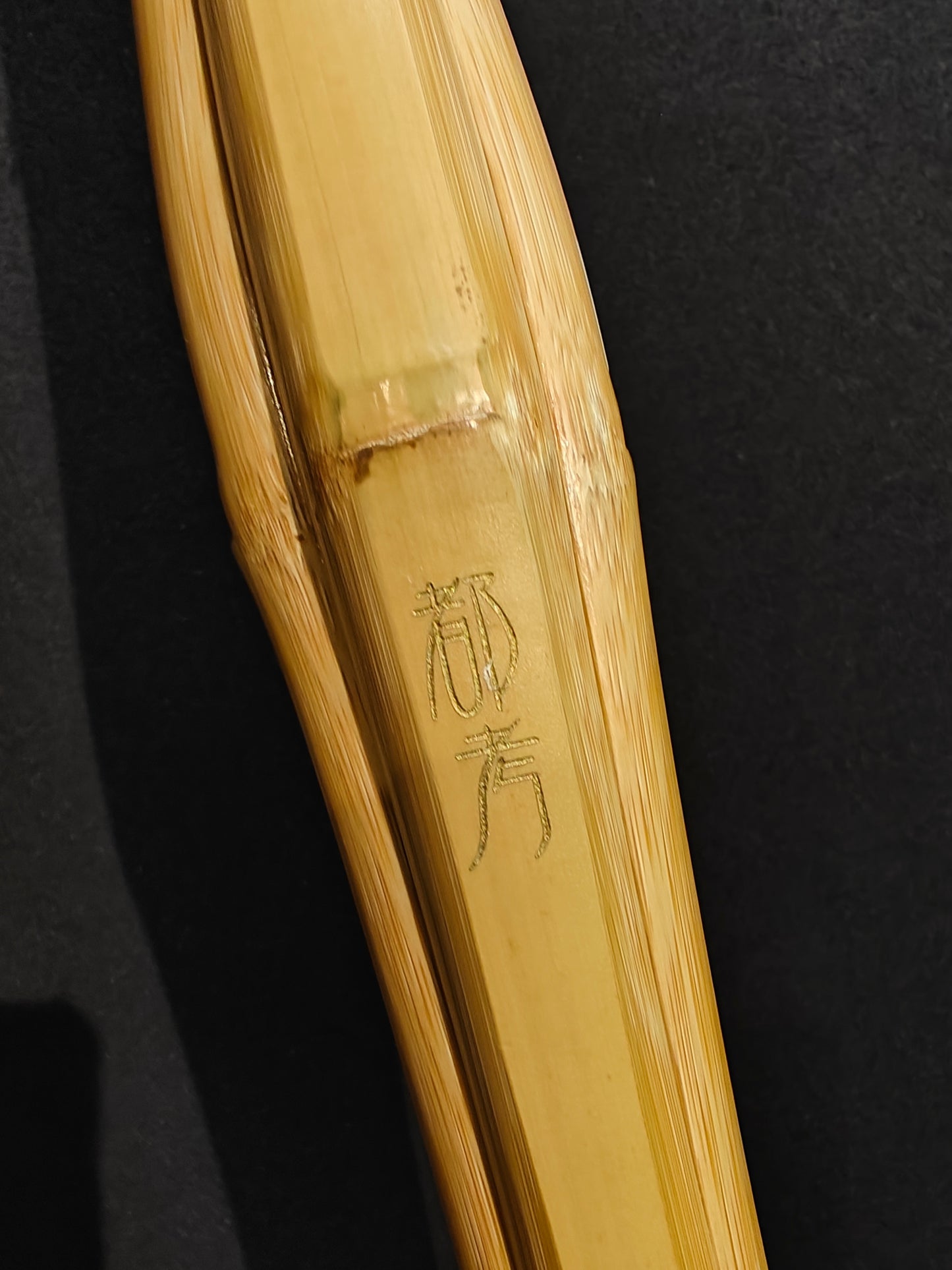 Canada Kendo Player Model Shinai - Tsuyoshi #39