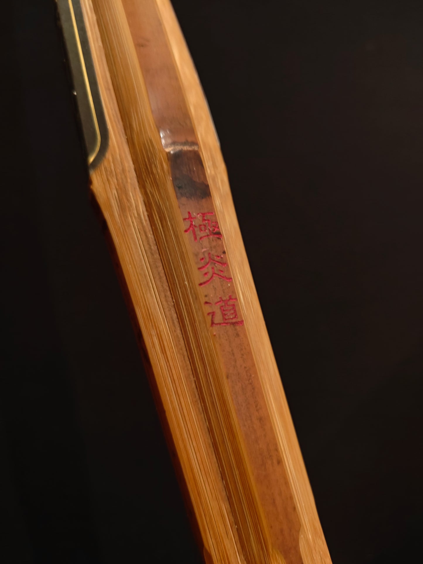 GOKUENDO - Biotech Koto Fat Grip Shinai