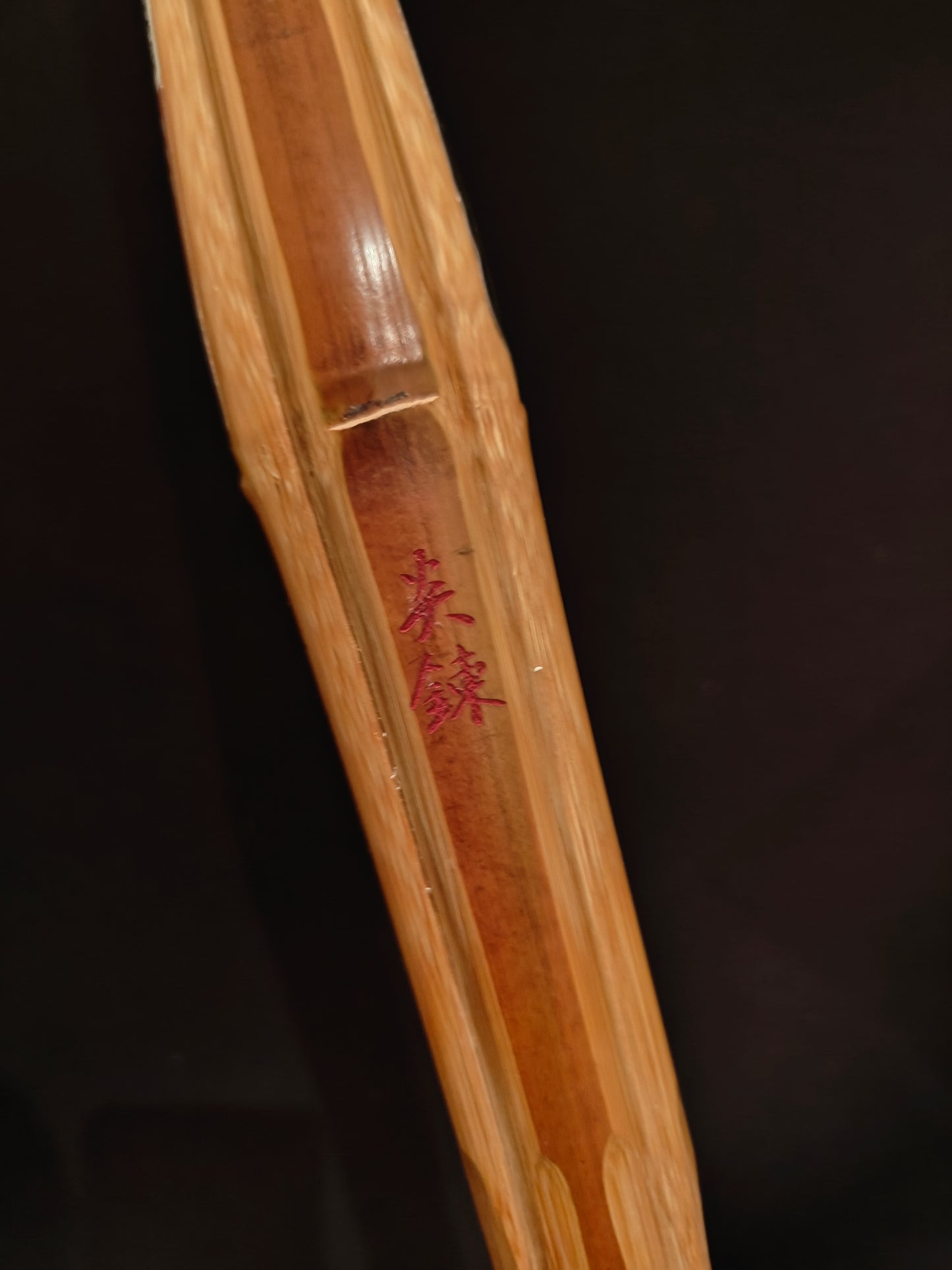 ENREN - Biotech Grip Master Shinai