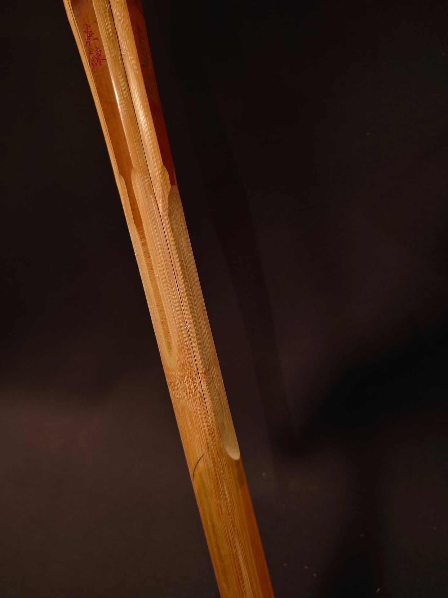 ENREN - Biotech Grip Master Shinai