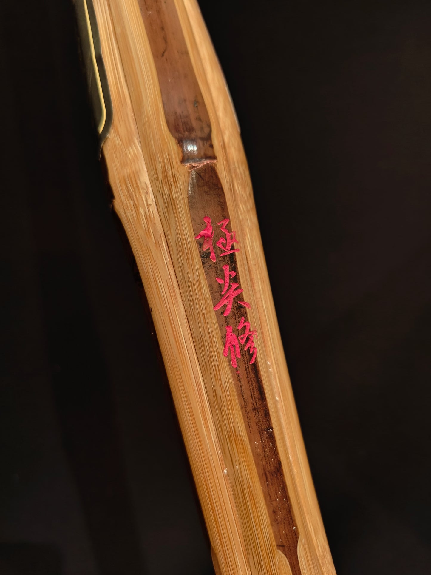 GOKUENSHU - Biotech Fat Grip Practice Shinai