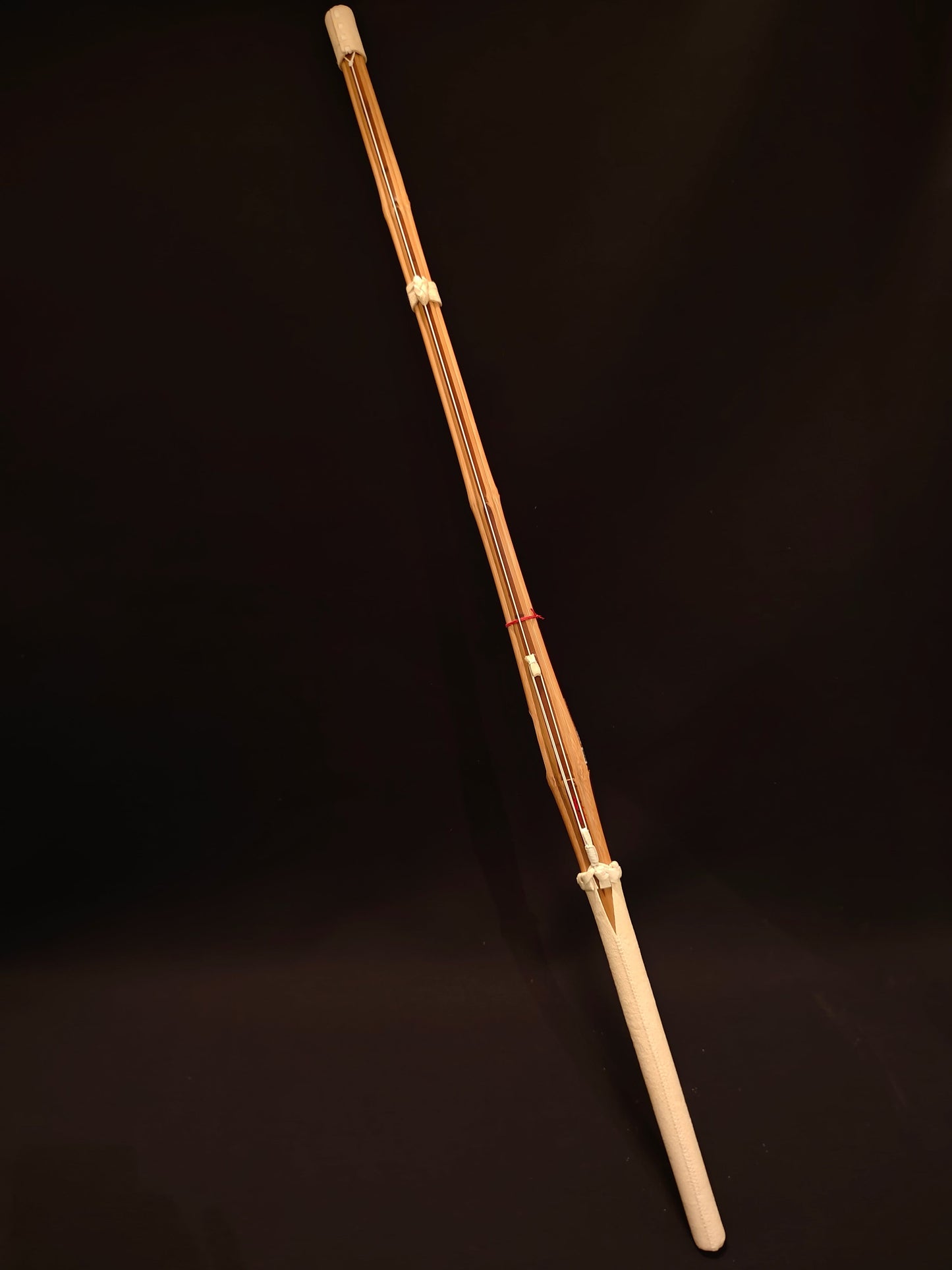 ENSHU - Biotech Practice Shinai