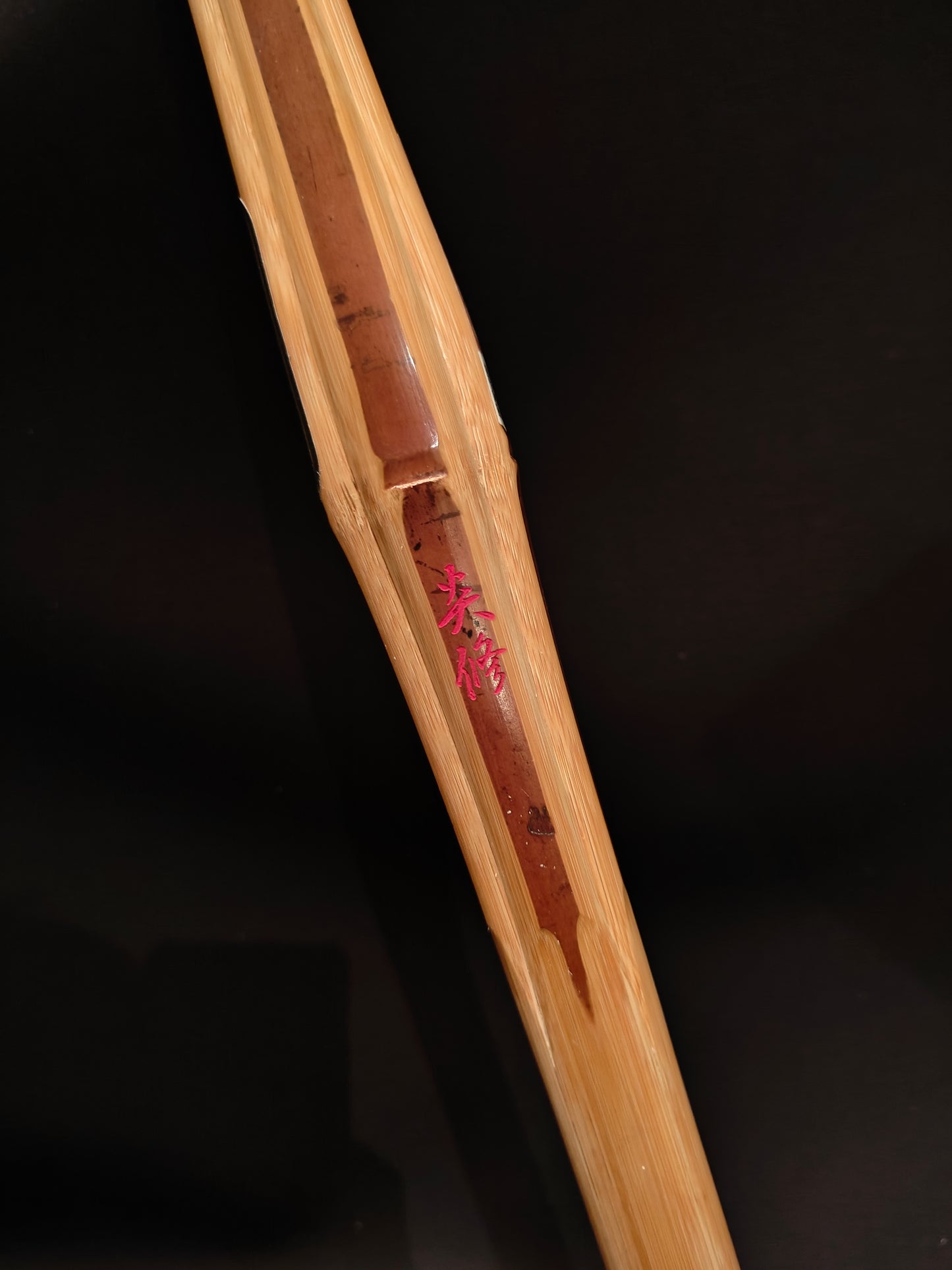 ENSHU - Biotech Practice Shinai