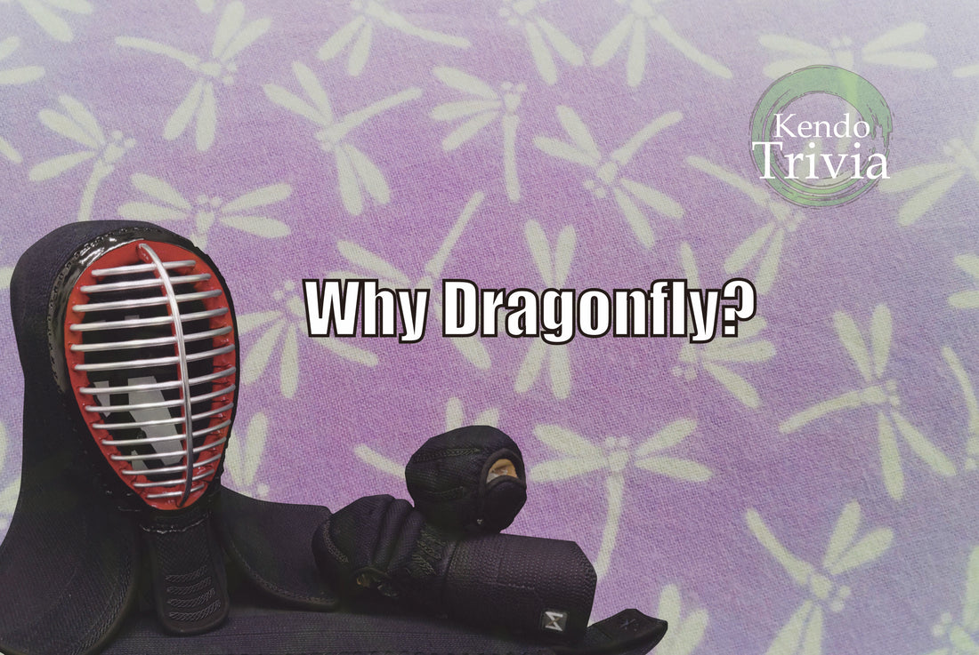 Why Dragonfly?