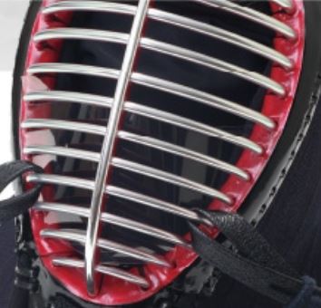 Kendo Mouth Shield - ISG Mouth Shield PRO