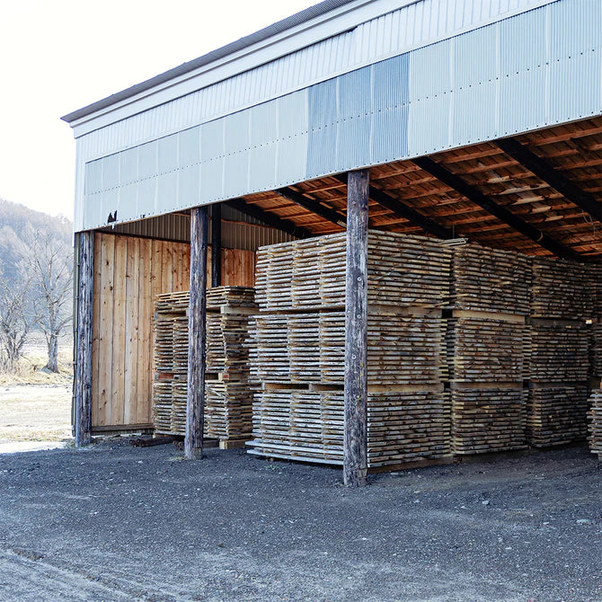 Nara (Hokkaido Oak) Bokuto